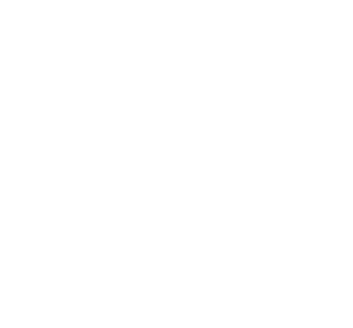 NTL Phone